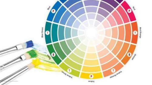 công ty bắc việt